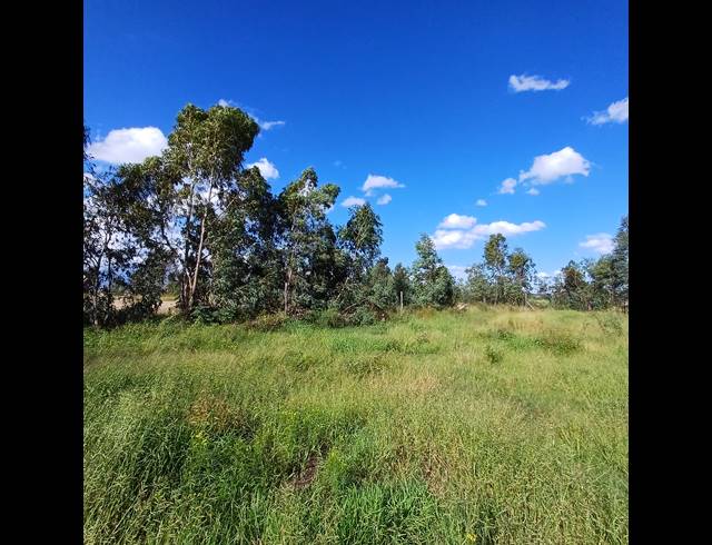 1,122M² VACANT LAND FOR SALE IN KOOKRUS